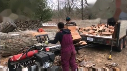 Professional Automatical Feeding Forest Timber Log Splitter