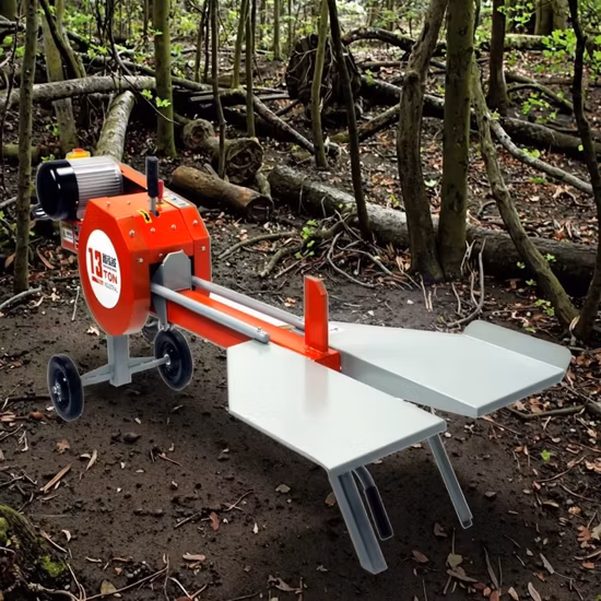 Electric Motor Hydraulic Automatic Vertical Log Splitter with Conveyor