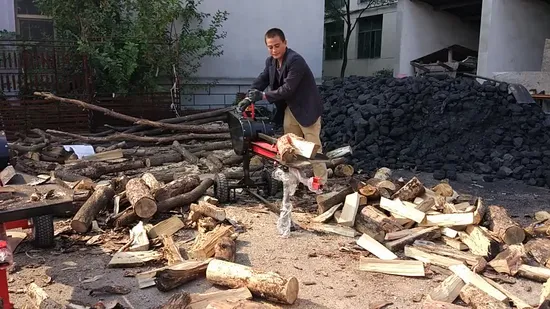 Hot Selling Fast Speed Kinetic Log Splitter with Ce